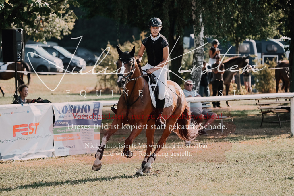 DSC_4647 | Pferde- und Turnierfotografie in Westsachsen. Pferdeportraits, Auftragszeichnungen und intuitive Kunst.