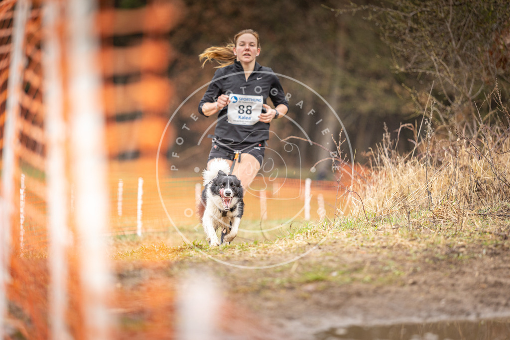 DV3A0383 | Hundefotografie, Tierfotograf, Pfotenfotografie, Fotoshooting Hund, Hunde Portrait, Hundesport, Hundeportraits, Heideshooting, Hunde, Sportfotograf, Hundefotograf, Turnierhundsport, THS,  - Realisiert mit Pictrs.com