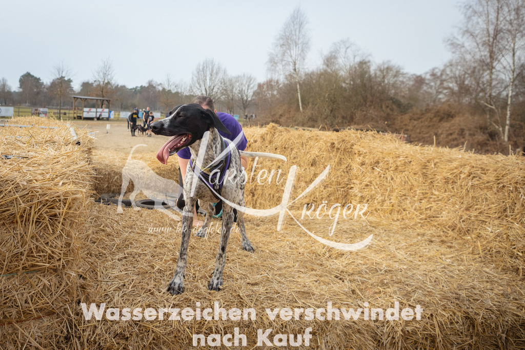 1040_ZZ97417 | kk-dogfotos
