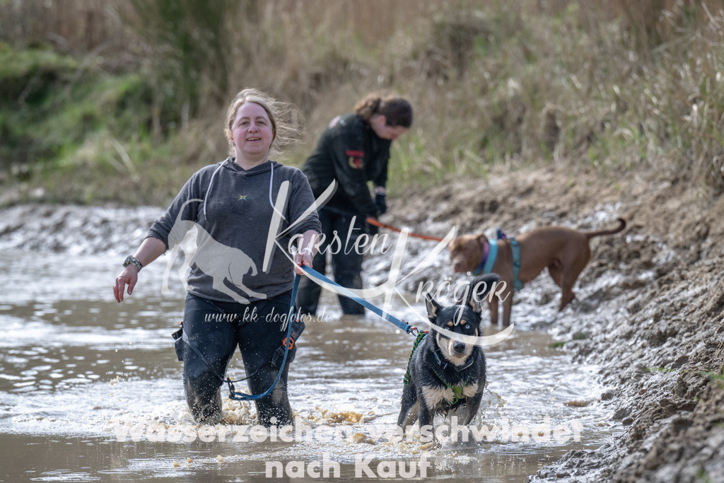 1146_ZZ90190 | kk-dogfotos