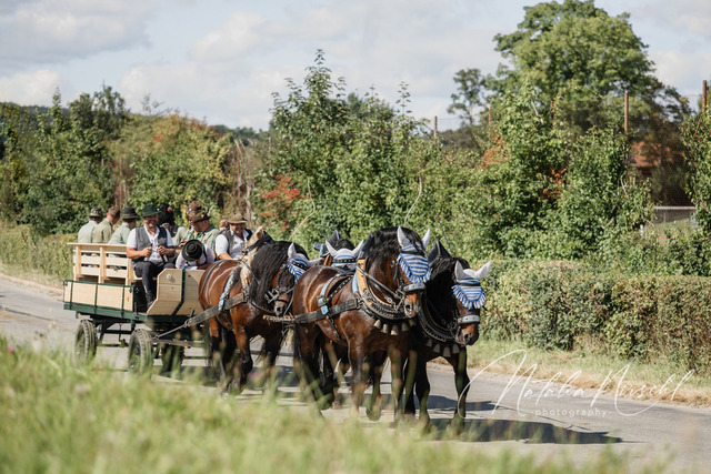 7V6A2368 | natalia-nirschl-photography