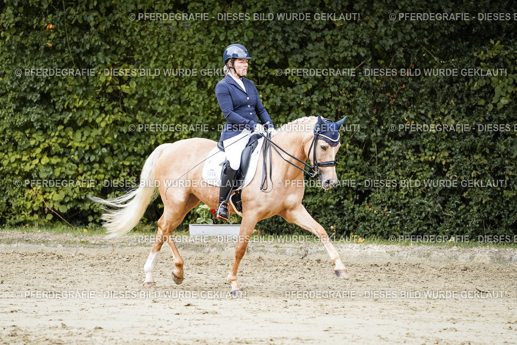 DSC04800 | Pferdegrafie