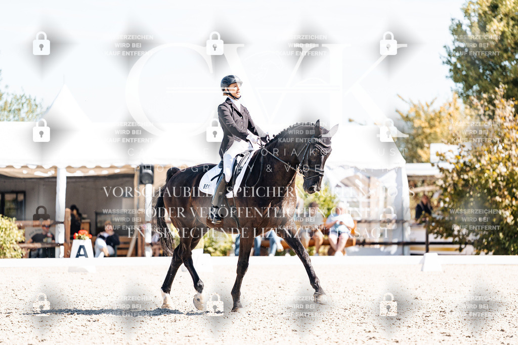 CK909876 | Turnierfotografie Pferdefotografie Trier Rheinland-Pfalz Pferdesport Reitsport Tierfotografie Sportfotografie Pferdevideo Pferdevideografie Equestrianvideography equestrianphotography  - Realisiert mit Pictrs.com