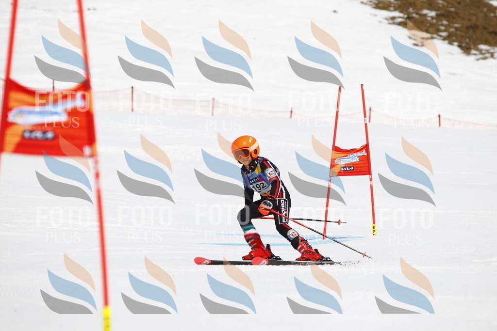 _U3G5029 | holidayphoto