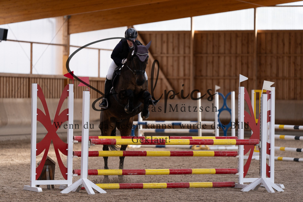 A7507747 | Pferdefotograf