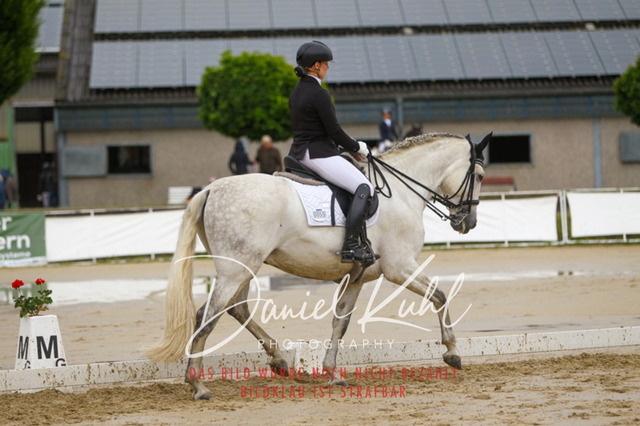 DKP40273 | Turniersportfotografie; Pferdefotografie; Dressurfotografie