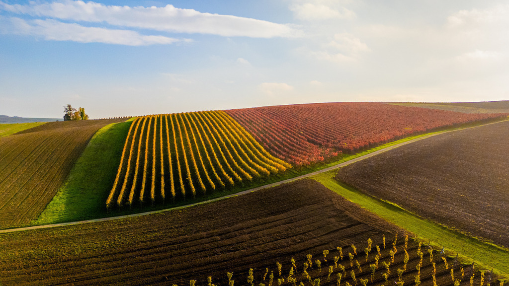 DJI_20241027151457_0021_D-2 | default