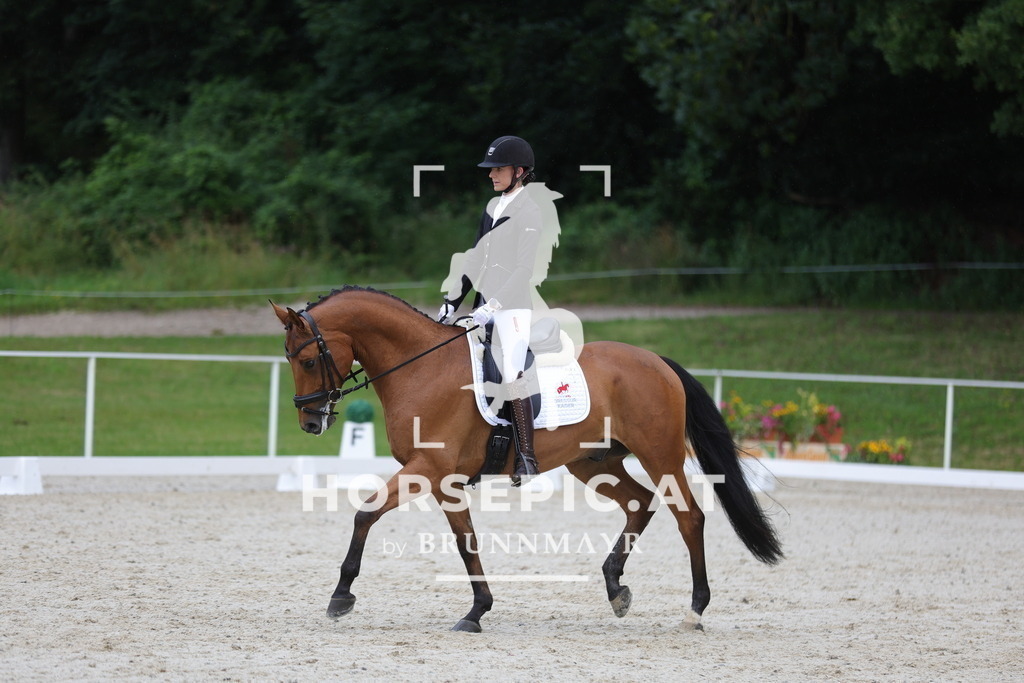 0P6A8713 | Willkommen bei Brunnmayr - Design & Fotografie – Ihrem Spezialisten für Reitturniere und Pferdeveranstaltungen in Oberösterreich, Salzburg und Bayern! Seit über 17 Jahren sind wir leidenschaftlich dabei.
