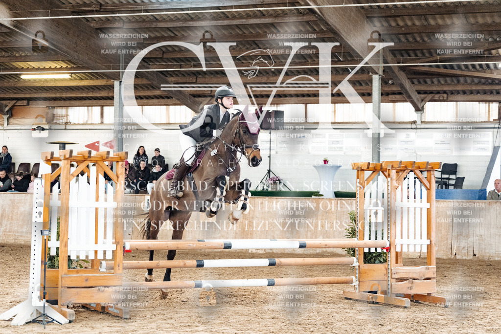CK904210 | Turnierfotografie Pferdefotografie Trier Rheinland-Pfalz Pferdesport Reitsport Tierfotografie Sportfotografie Pferdevideo Pferdevideografie Equestrianvideography equestrianphotography  - Realized with Pictrs.com