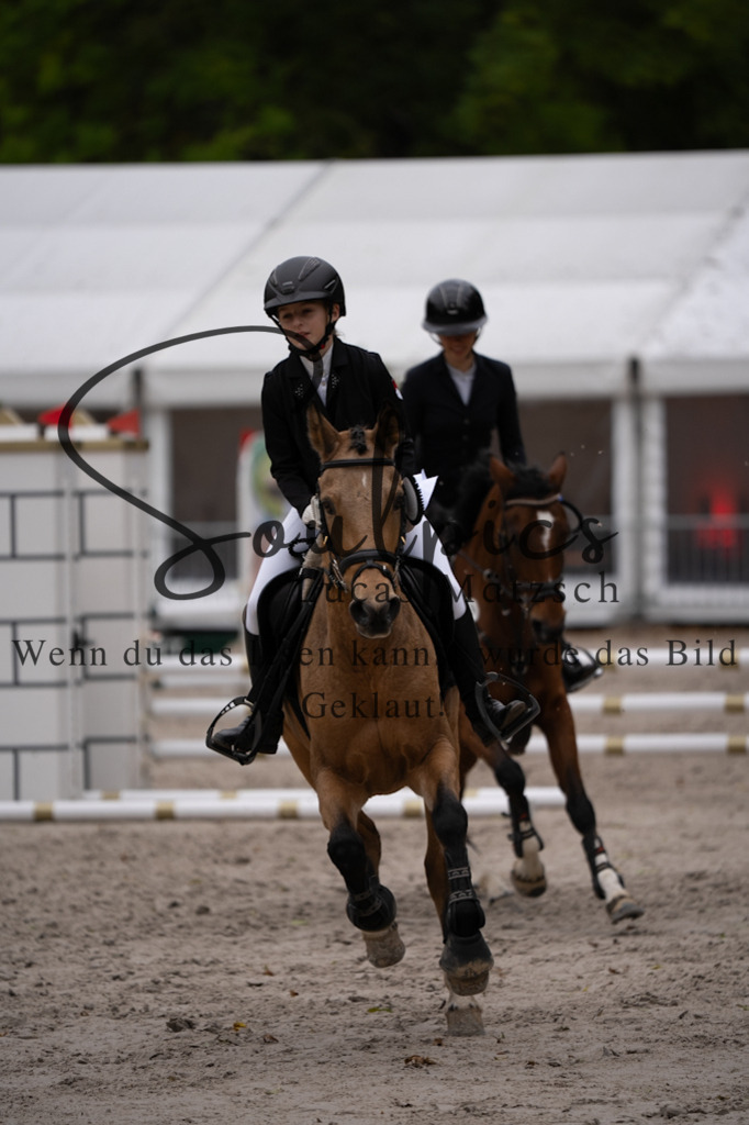 A7V08337 | Pferdefotograf