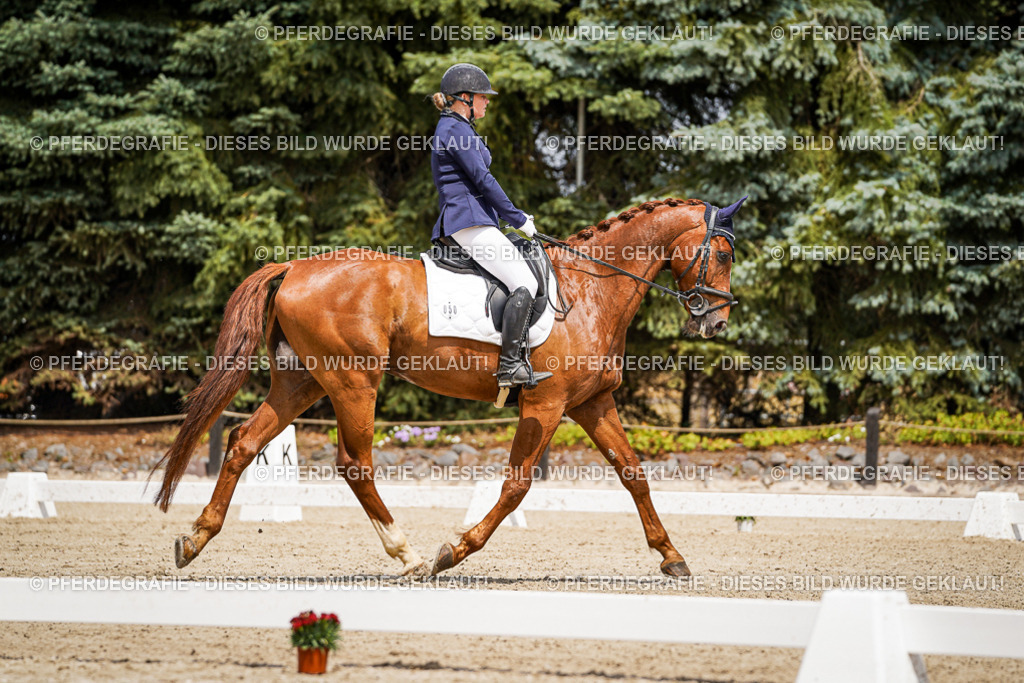 DSC02288 | Pferdegrafie