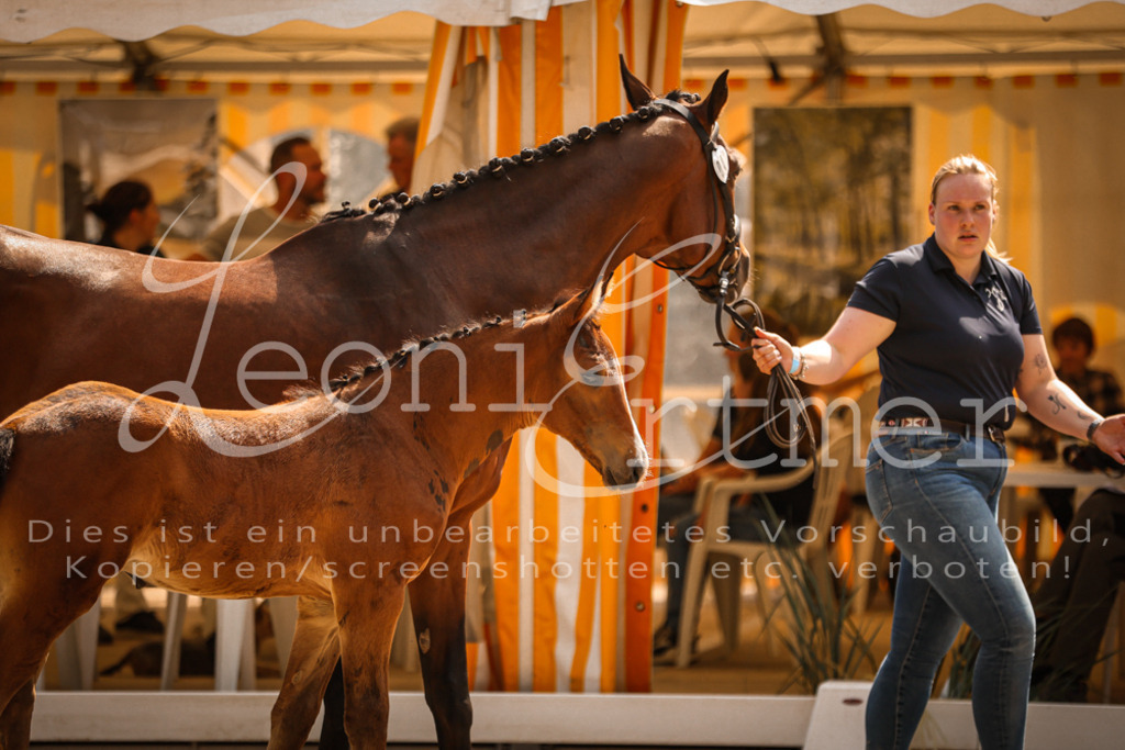 07.DoWBS00109 | Leoni Ertmer Photography - Realisiert mit Pictrs.com