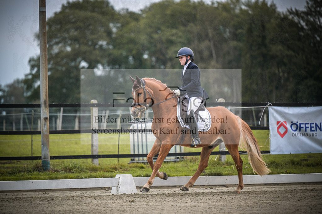 DOS_0449 | Entdecke hochwertige Reitturnierfotos von Foto Oger. Professionell, emotional und authentisch – jetzt Lieblingsmomente im Shop bestellen.Deutschlandweite Turnierfotografie. - Realisiert mit Pictrs.com
