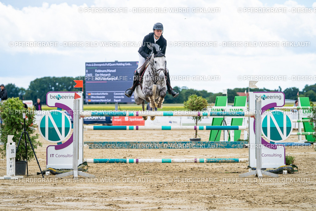 DSC05373 | Pferdegrafie