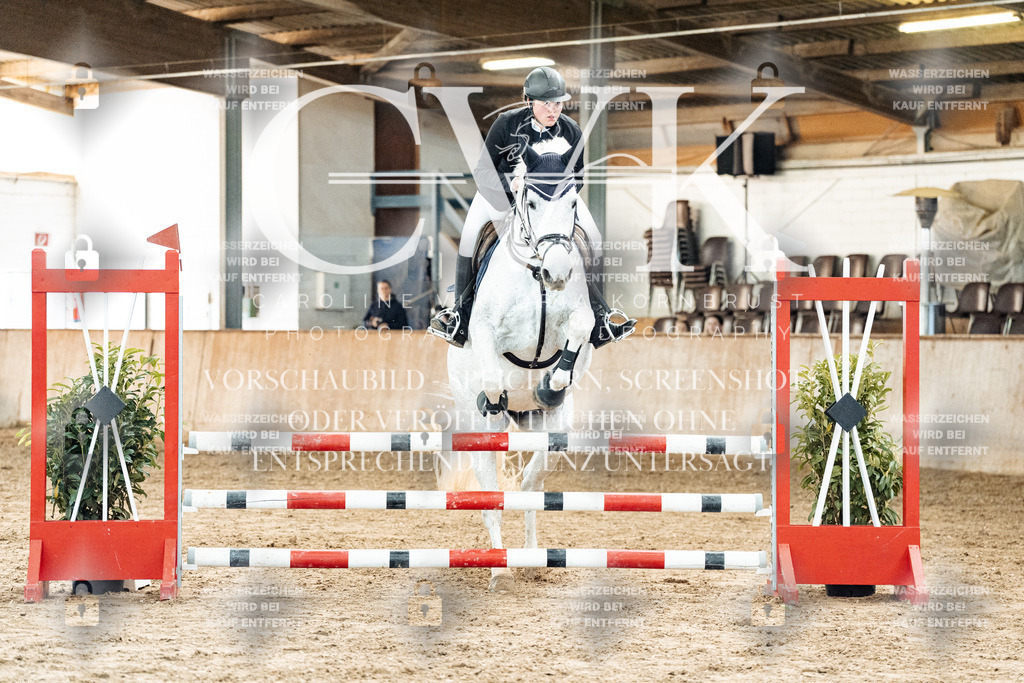 CK904485 | Turnierfotografie Pferdefotografie Trier Rheinland-Pfalz Pferdesport Reitsport Tierfotografie Sportfotografie Pferdevideo Pferdevideografie Equestrianvideography equestrianphotography  - Realisiert mit Pictrs.com