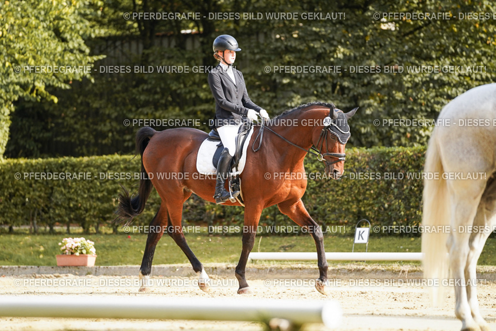 DSC05793 | Pferdegrafie