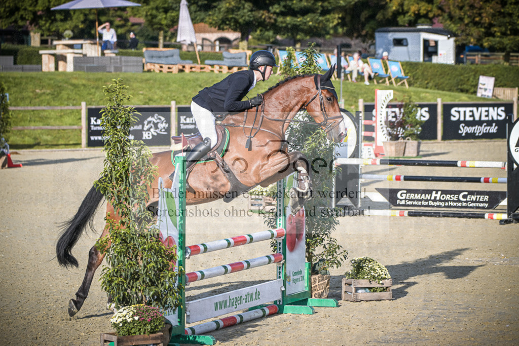 DOS_7415 | Entdecke hochwertige Reitturnierfotos von Foto Oger. Professionell, emotional und authentisch – jetzt Lieblingsmomente im Shop bestellen.Deutschlandweite Turnierfotografie. - Realisiert mit Pictrs.com