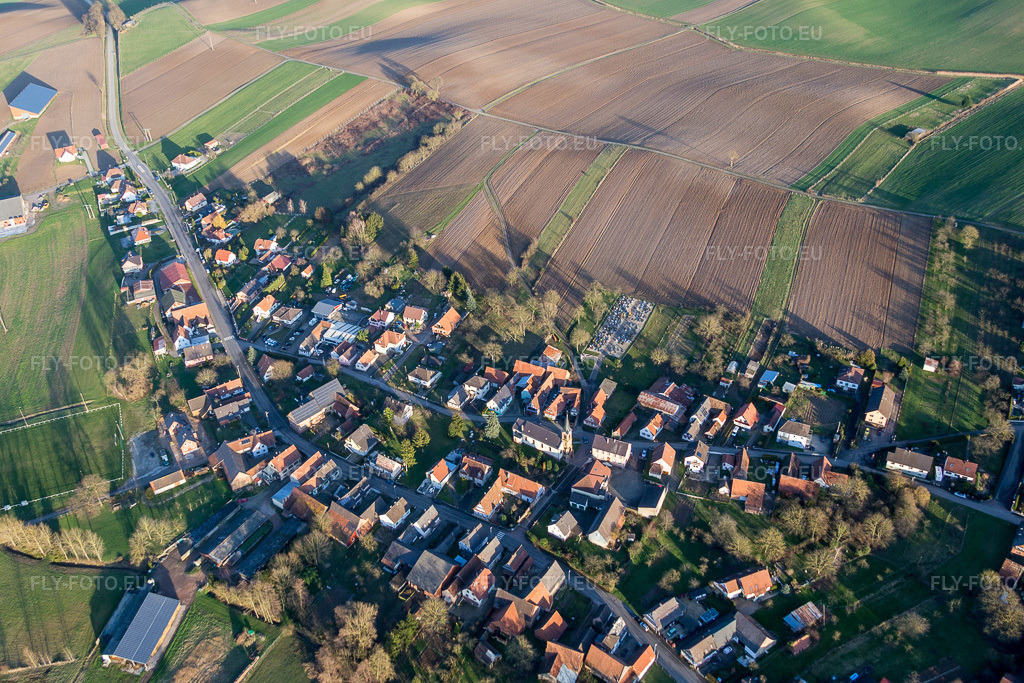 Vue aérienne: Champs agricoles et terres arables à Siegen dans le département Bas Rhin, France. Photo: IMG_086018.jpg prise le 06/02/2016 par Werner Riehm/FLY-FOTO.eu – Résolution de l'original: 4935 x 3290 px
