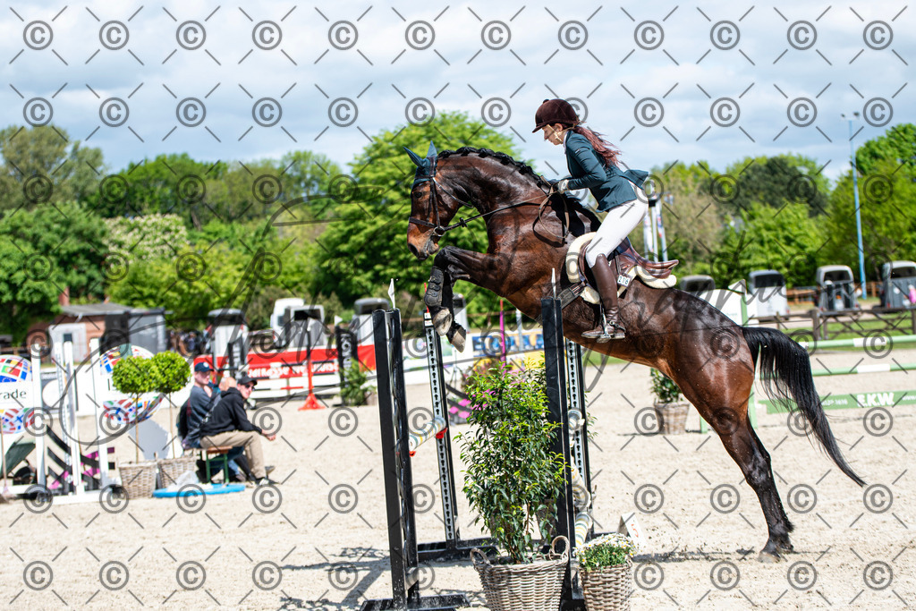 KPT_5192 | andre_photographic