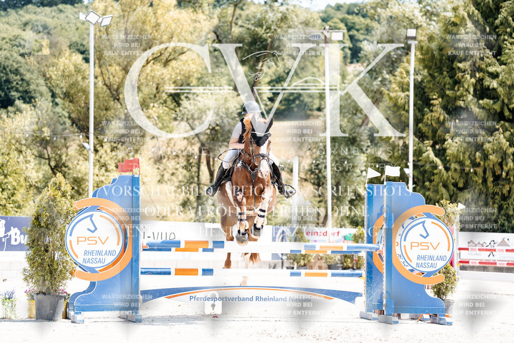 CK907667 | Turnierfotografie Pferdefotografie Trier Rheinland-Pfalz Pferdesport Reitsport Tierfotografie Sportfotografie Pferdevideo Pferdevideografie Equestrianvideography equestrianphotography  - Realisiert mit Pictrs.com