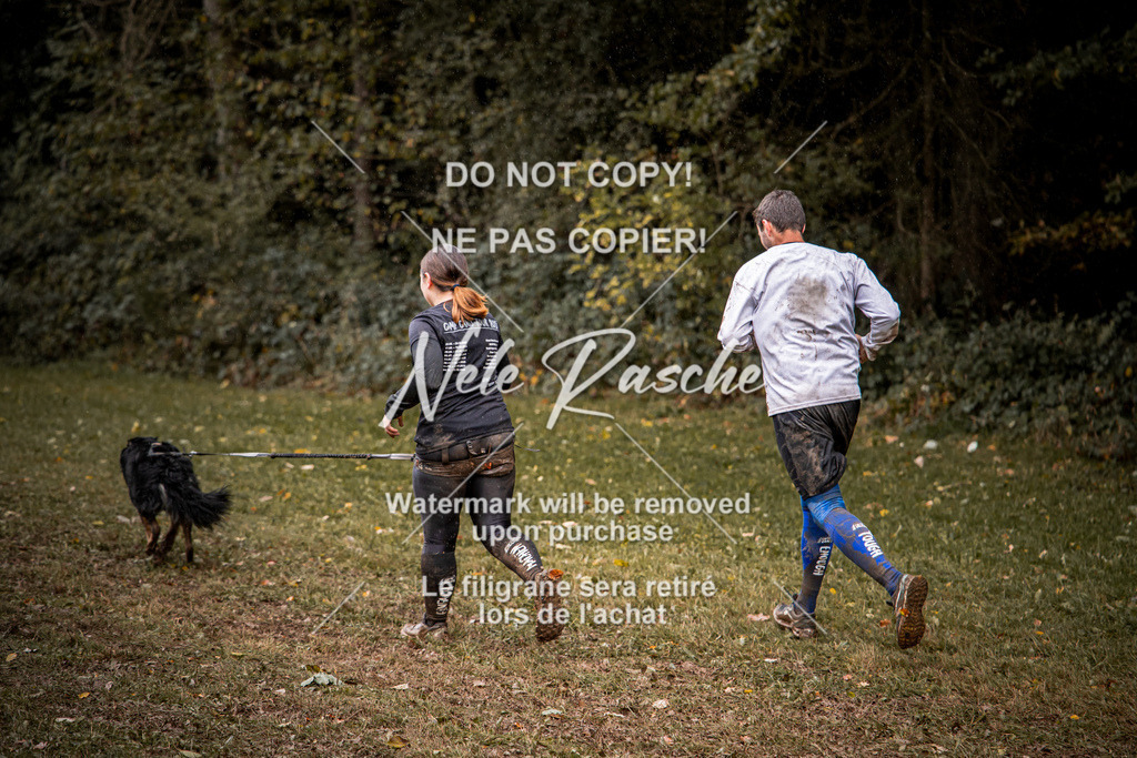 nelerasche_Hunsrück_So09-11_48 | nelerasche