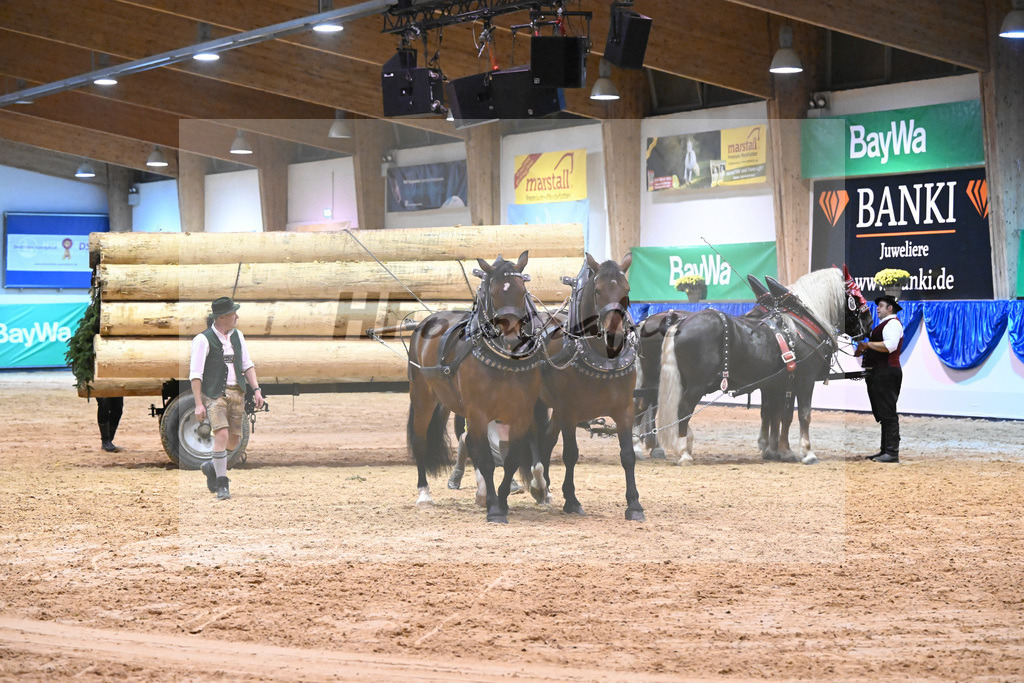 Schauprogramm_54222527 | hf-fotografie - Realisiert mit Pictrs.com