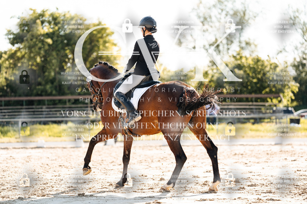 CK909854 | Turnierfotografie Pferdefotografie Trier Rheinland-Pfalz Pferdesport Reitsport Tierfotografie Sportfotografie Pferdevideo Pferdevideografie Equestrianvideography equestrianphotography  - Realisiert mit Pictrs.com