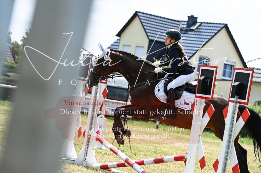 DSC_9583 | Pferde- und Turnierfotografie in Westsachsen. Pferdeportraits, Auftragszeichnungen und intuitive Kunst.