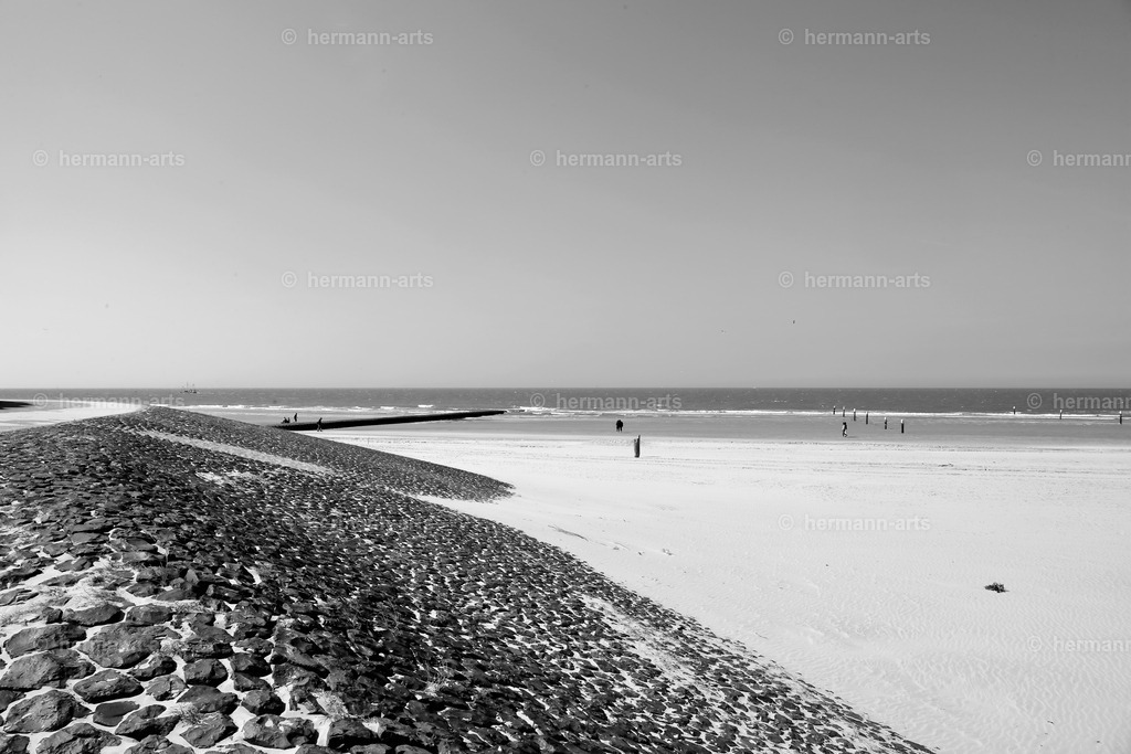 Hermann-Arts_Seaside_181 | Photo Foto Kunst Art schwarzweiss Bilder Rheine Münster Berlin Blumen 