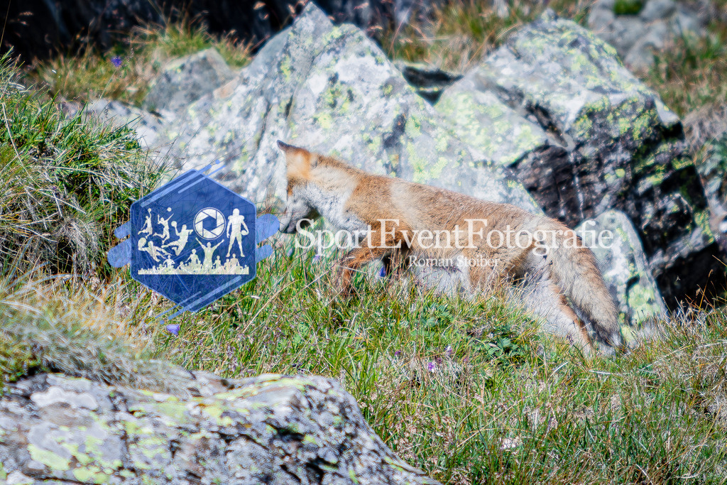 IMAG1020 | SportEventFotografie - Roman Stoiber