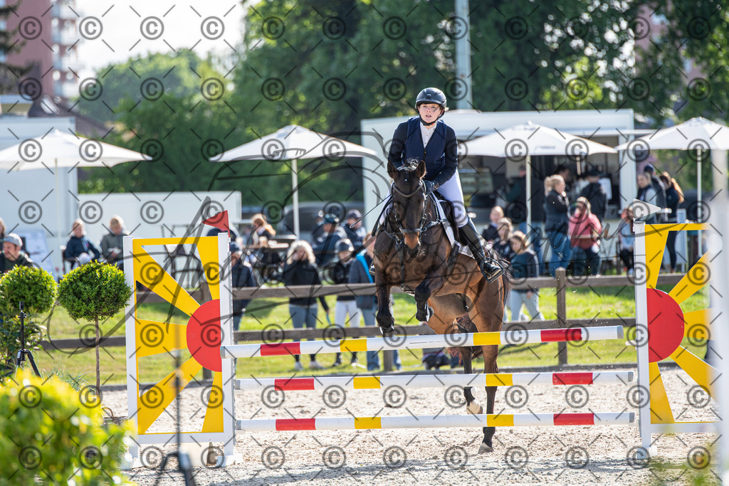 KPT_4497 | andre_photographic