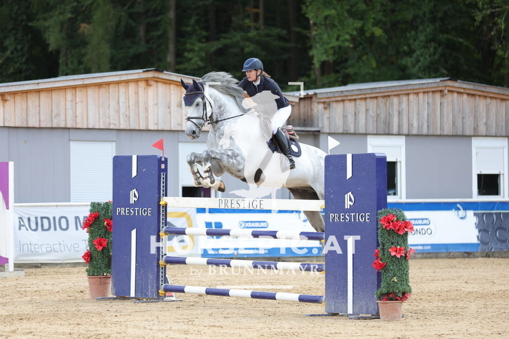 0P6A7582 | Willkommen bei Brunnmayr - Design & Fotografie – Ihrem Spezialisten für Reitturniere und Pferdeveranstaltungen in Oberösterreich, Salzburg und Bayern! Seit über 17 Jahren sind wir leidenschaftlich dabei.