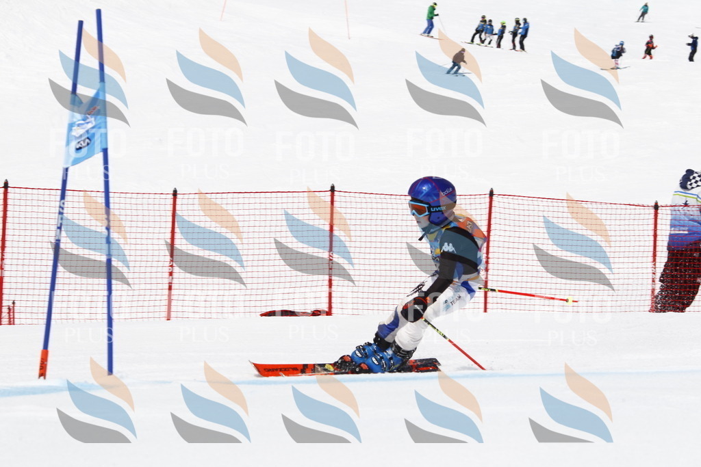 _U3G6156 | holidayphoto