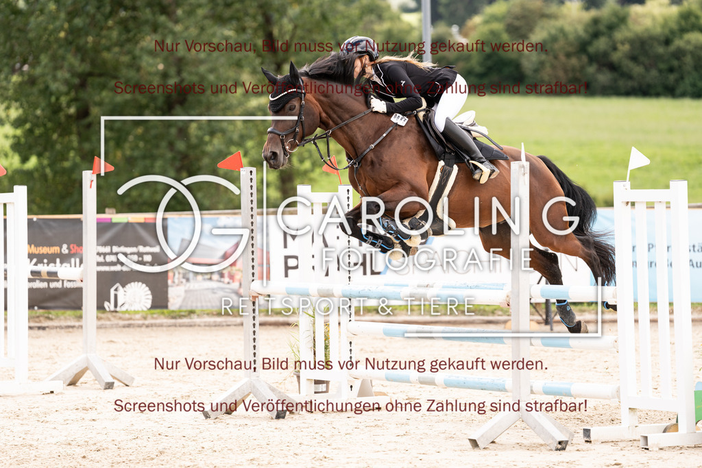 DSC08516 | Turnierfotografin Carolin Gieschke, Turnierfotografie Carolin G Fotografie, Turnierfotos Kirchheim/Teck, Esslingen, Stuttgart, Bodenseekreis