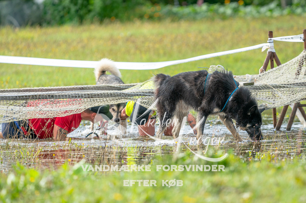 1107STR_1894 | kk-dogfotos