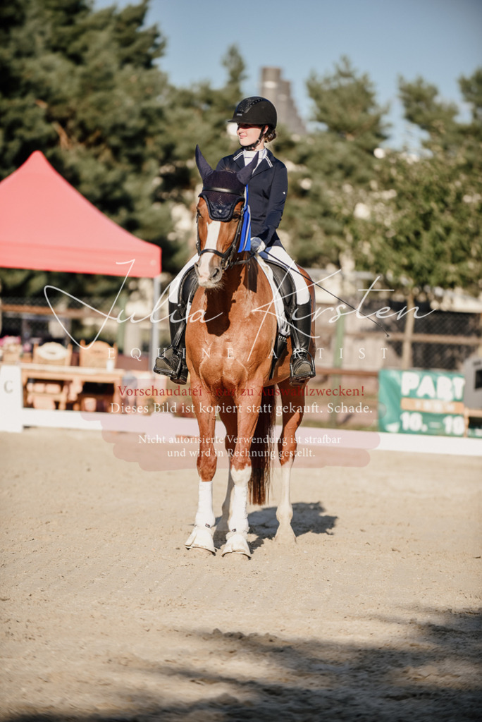 DSC_0708 | Pferde- und Turnierfotografie in Westsachsen. Pferdeportraits, Auftragszeichnungen und intuitive Kunst.