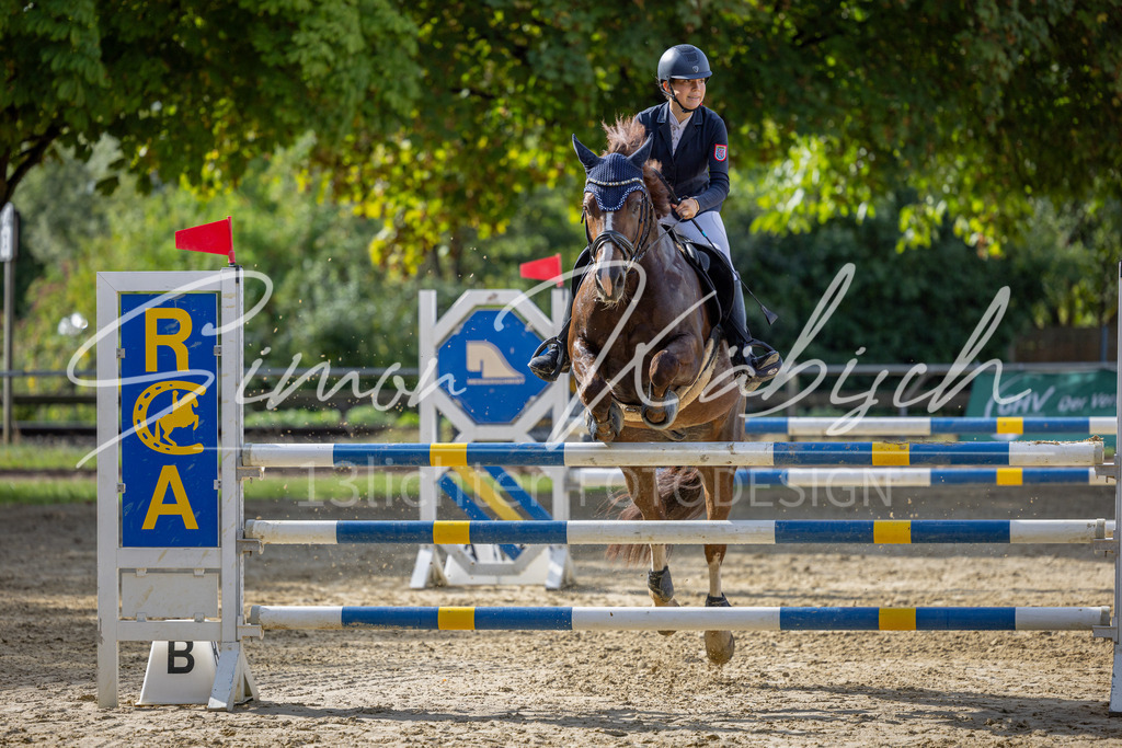 20260905-_3LI7370 | Tierfotografie Pferde, Hunde, Katzen, Haustiere.
Turnierfotografie Reitturniere, Reiten, Springreiten, Dressur in Hanau, dem Main-Kinzig-Kreis und dem Rhein-Main- Gebiet um Frankfurt