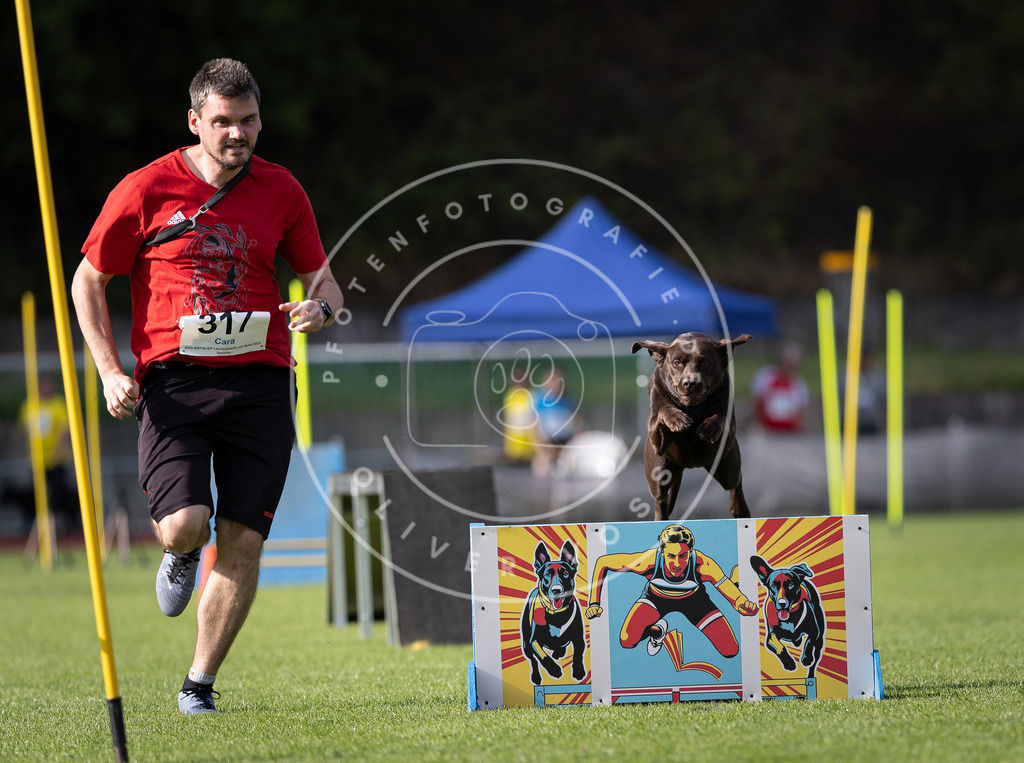 Pfotenfotografie_DV3A1954 | Hundefotografie, Tierfotograf, Pfotenfotografie, Fotoshooting Hund, Hunde Portrait, Hundesport, Hundeportraits, Heideshooting, Hunde, Sportfotograf, Hundefotograf, Turnierhundsport, THS,  - Realisiert mit Pictrs.com