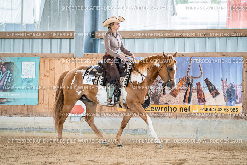 DSC09036 | Pferdegrafie