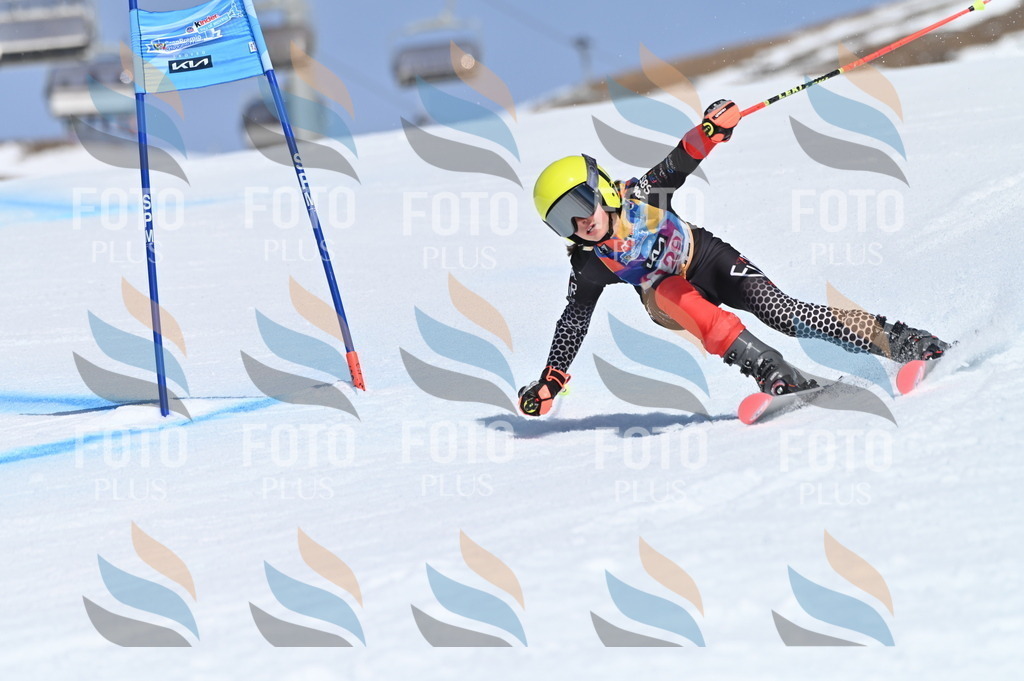 BGV_9969 | holidayphoto