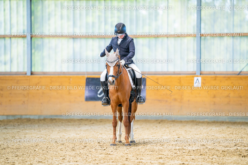 DSC07703 | Pferdegrafie