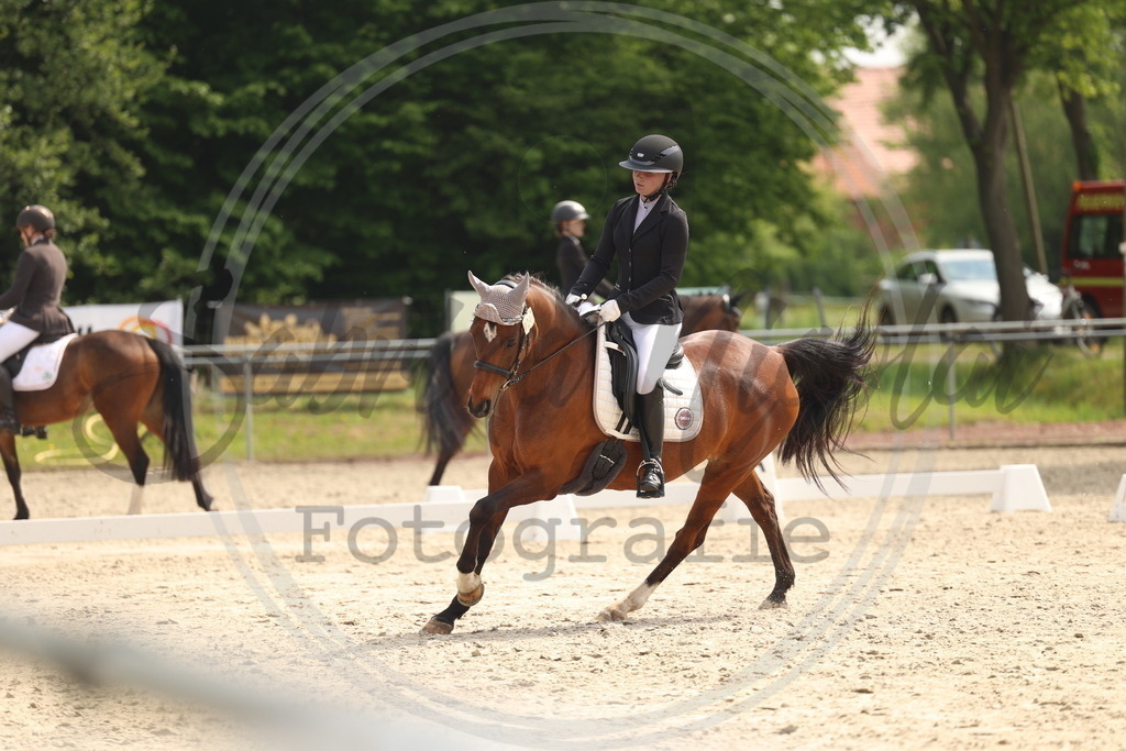 994A6821 | sabrinanicolaifotografie - Realisiert mit Pictrs.com