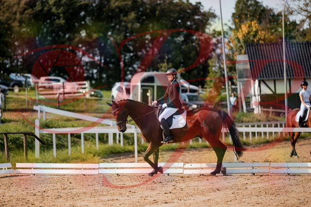 2026_10_03_Siefer-Hof_122705_Z63_47977053 | Professionelle Reitsport-, Turnier- und Eventfotografie von Robert Broda. Galerien mit ausgewählten und bearbeiteten Bildern direkt online ansehen und bestellen.