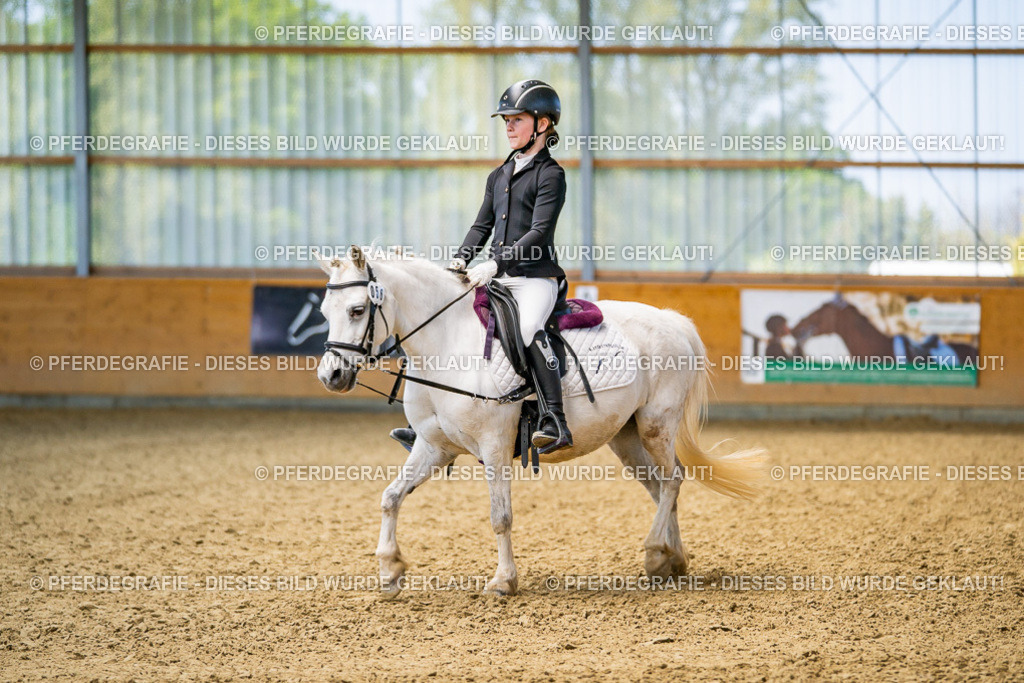 DSC02493 | Pferdegrafie