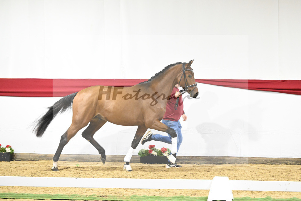 Kat-Nr. 15 v. Fuerst Samarant_Dalsem_63220661 | hf-fotografie - Realizzato con Pictrs.com