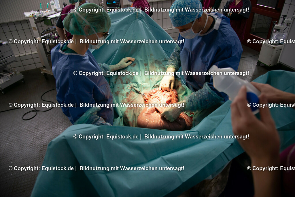 20191022_Kolik_OP_0060 | equistock