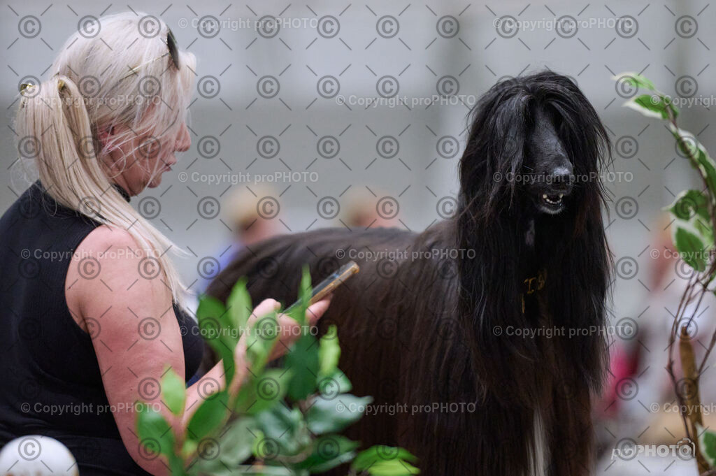 202406_ÖKV-IHA-Tulln24_DSC_4083 | proPHOTO - Realisiert mit Pictrs.com