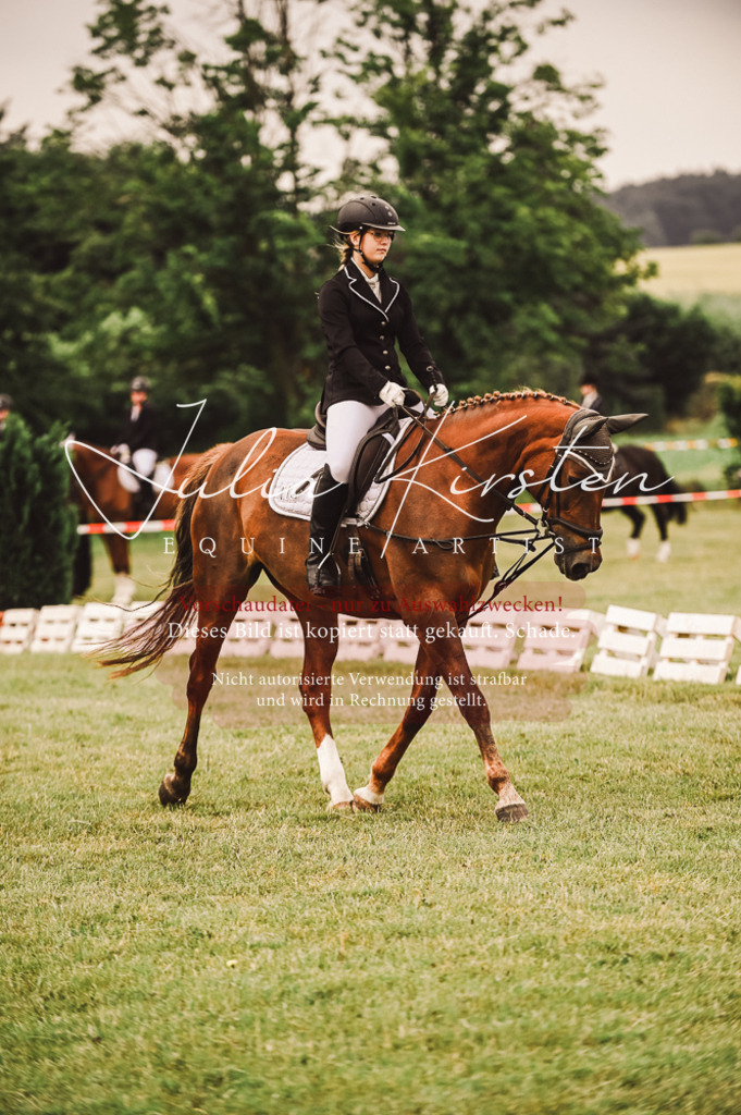 DSC_4799 | Pferde- und Turnierfotografie in Westsachsen. Pferdeportraits, Auftragszeichnungen und intuitive Kunst.