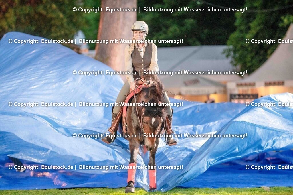 20250606_Lange-Pferdenacht_1007 | Foto: Thomas Hartig