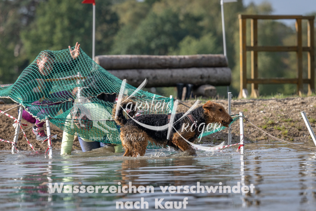 1149_ZZ94249 | kk-dogfotos